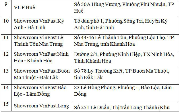 VinFast đồng loạt khai trương 21 showroom ô tô và xe máy điện - Ảnh 6.