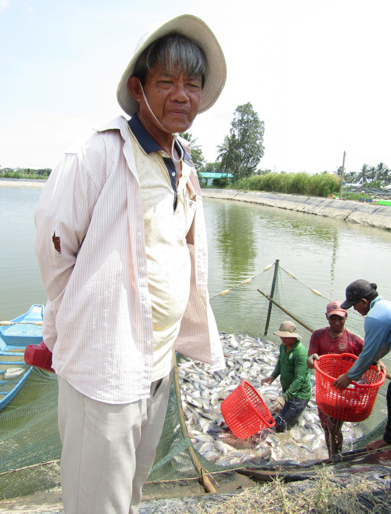 Sóc Trăng: Một tỷ phú nông dân nuôi cá rô phi toàn con đực, bắt bán 235 tấn, lời 1,6 tỷ đồng - Ảnh 1.