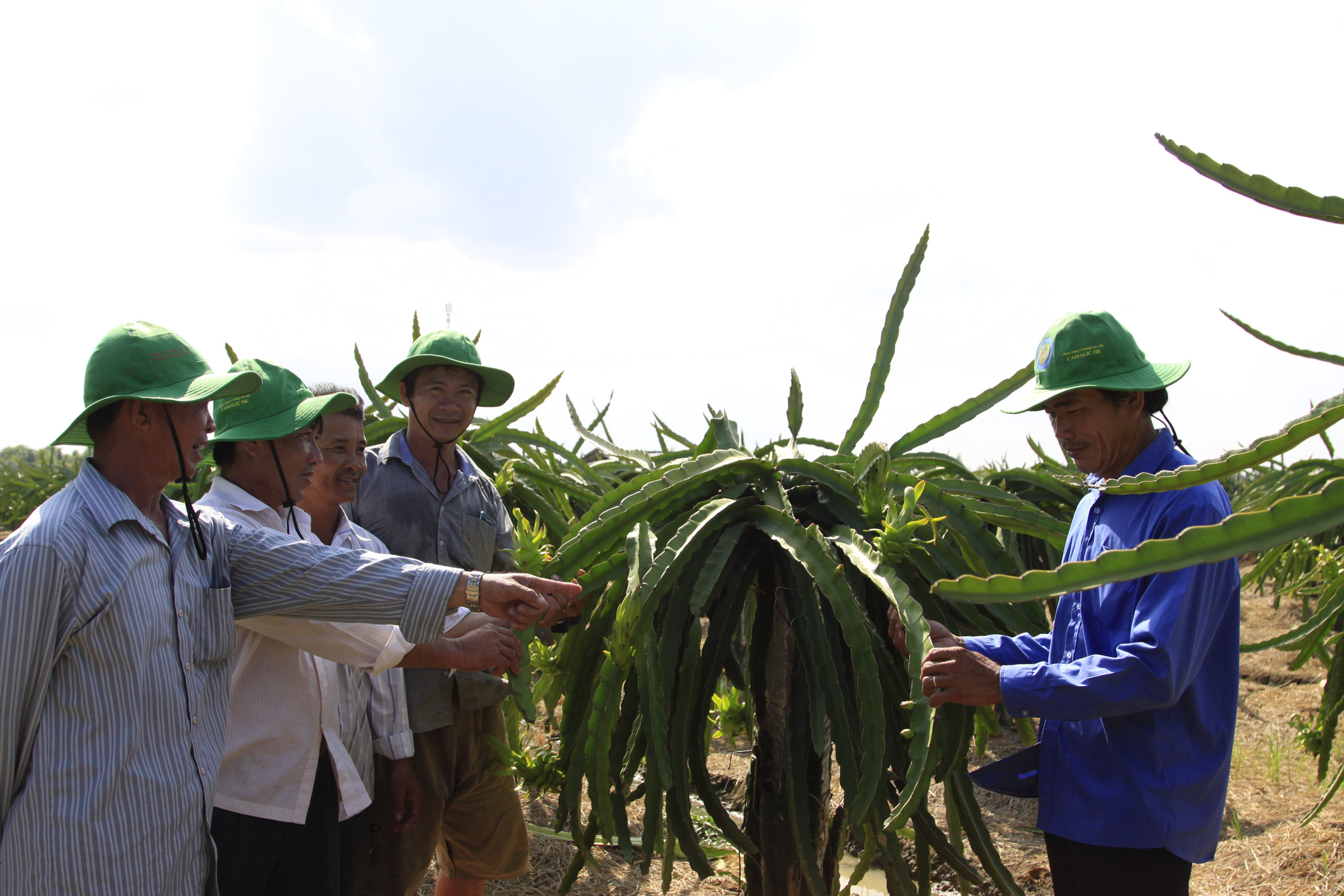 Góp ý văn kiện Đại hội Đảng: Phải coi nông nghiệp là một nghề, nông dân được đào tạo, đóng bảo hiểm - Ảnh 3.