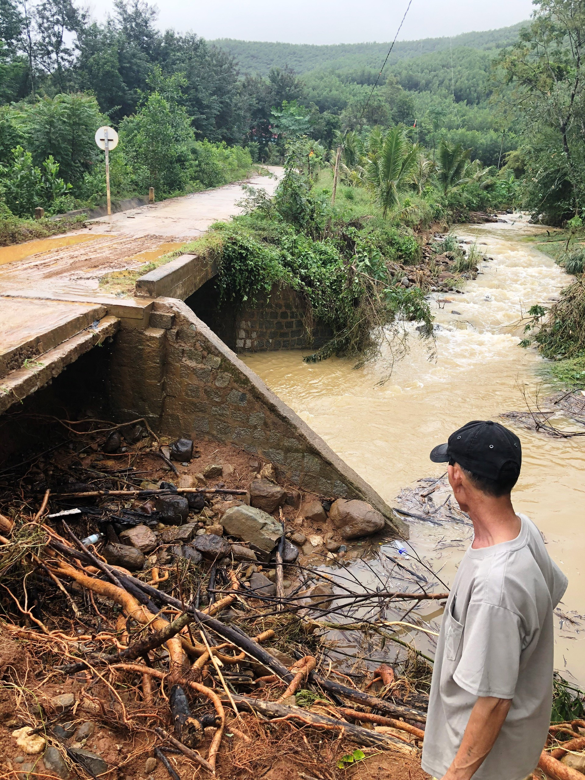 Bình Định: Hơn 1.000 nhà dân bị ngập, huyện trung du Hoài Ân thiệt hại nặng nề do lũ lớn - Ảnh 1.