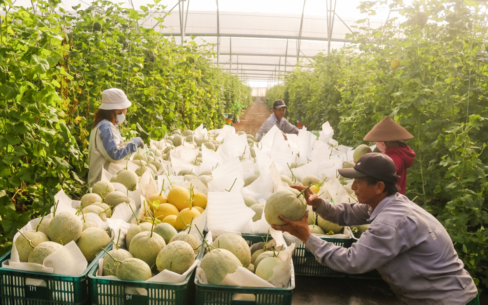 Nông nghiệp Bình Dương khởi sắc nhờ ứng dụng công nghệ cao - Ảnh 3.