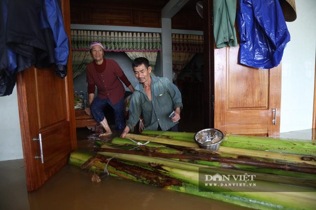 Hàng loạt quốc gia viện trợ Việt Nam khắc phục hậu quả bão lụt miền Trung - Ảnh 1.