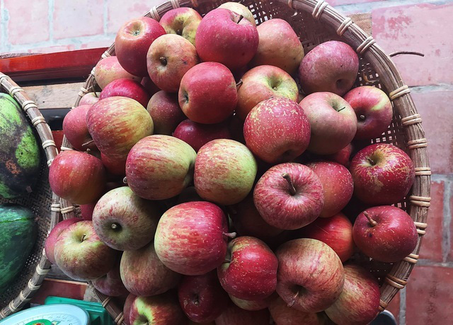 Táo đá Hà Giang giá siêu rẻ, dân buôn &quot;vén màn&quot; sự thật gây sốc - Ảnh 3.