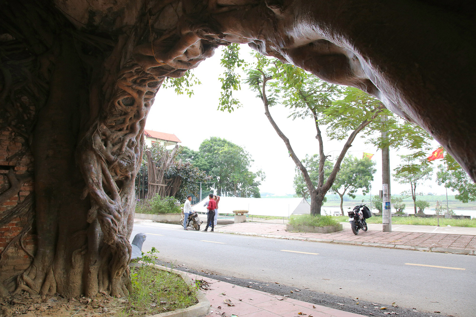 Những &quot;kiệt tác&quot; cổng làng có một không hai từ rễ cây độc đáo ở làng quê Bắc Bộ - Ảnh 10.