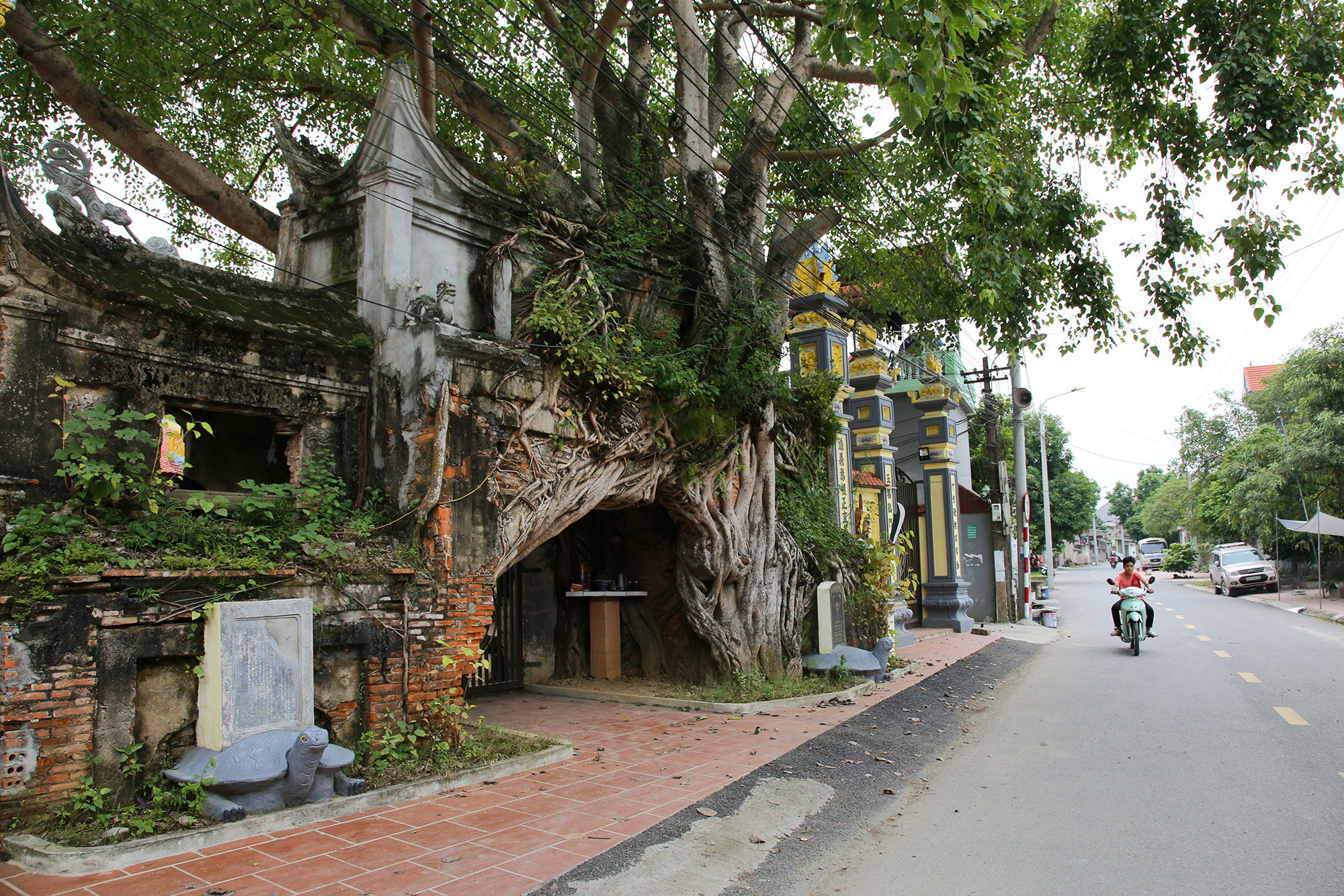 Những &quot;kiệt tác&quot; cổng làng có một không hai từ rễ cây độc đáo ở làng quê Bắc Bộ - Ảnh 7.