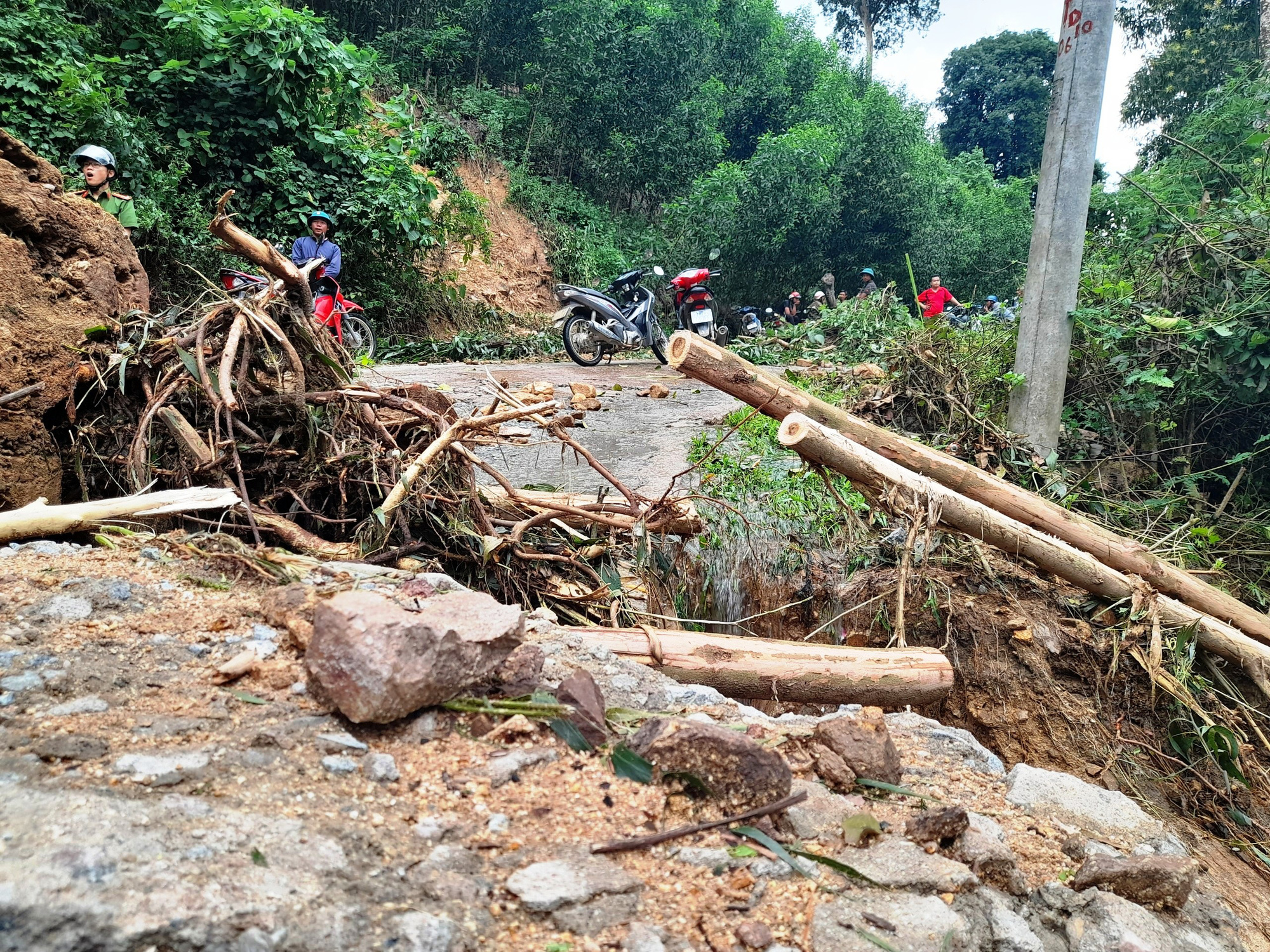 Cận cảnh sạt lở “hiếm thấy” tàn phá miền núi Bình Định - Ảnh 5.