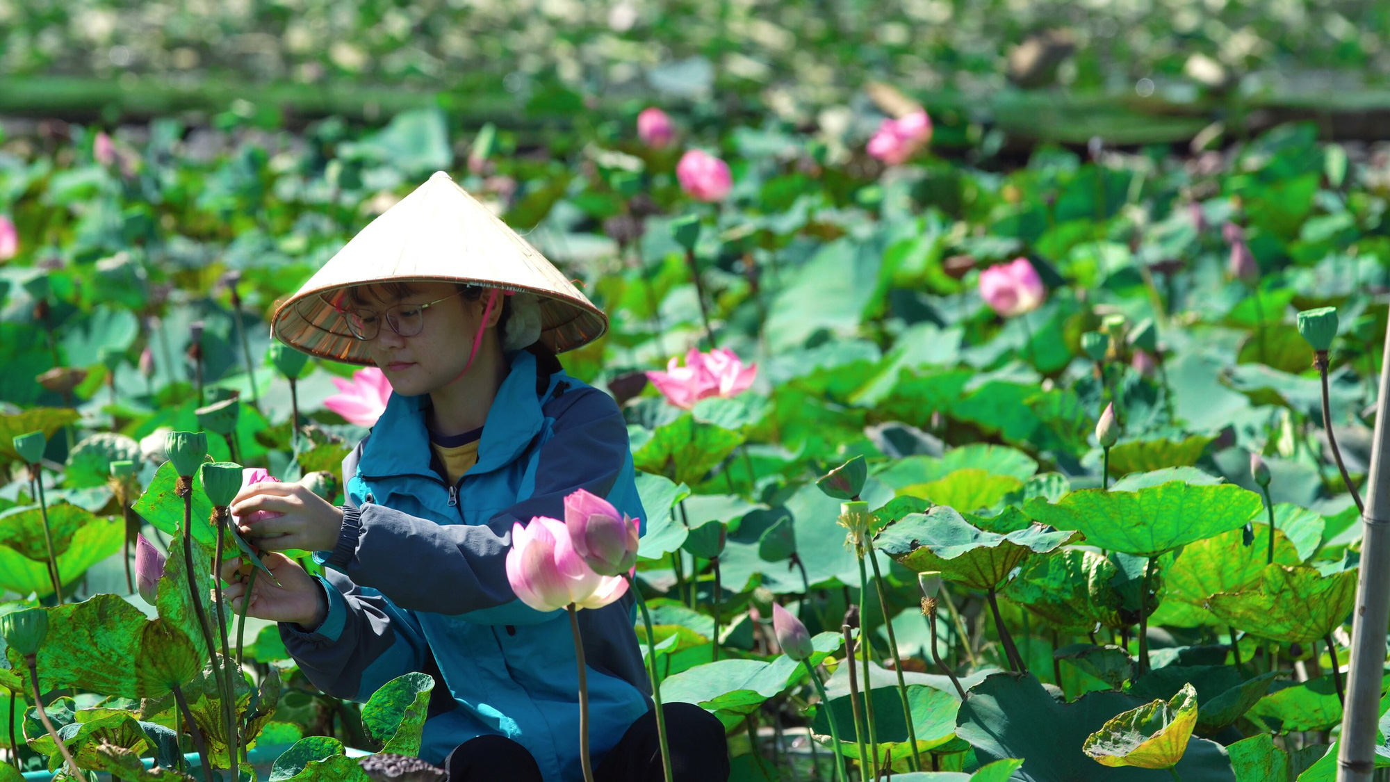 Du khách thích thú với trà, ẩm thực từ sen tươi giữa mùa đông ở Ninh Bình - Ảnh 2.