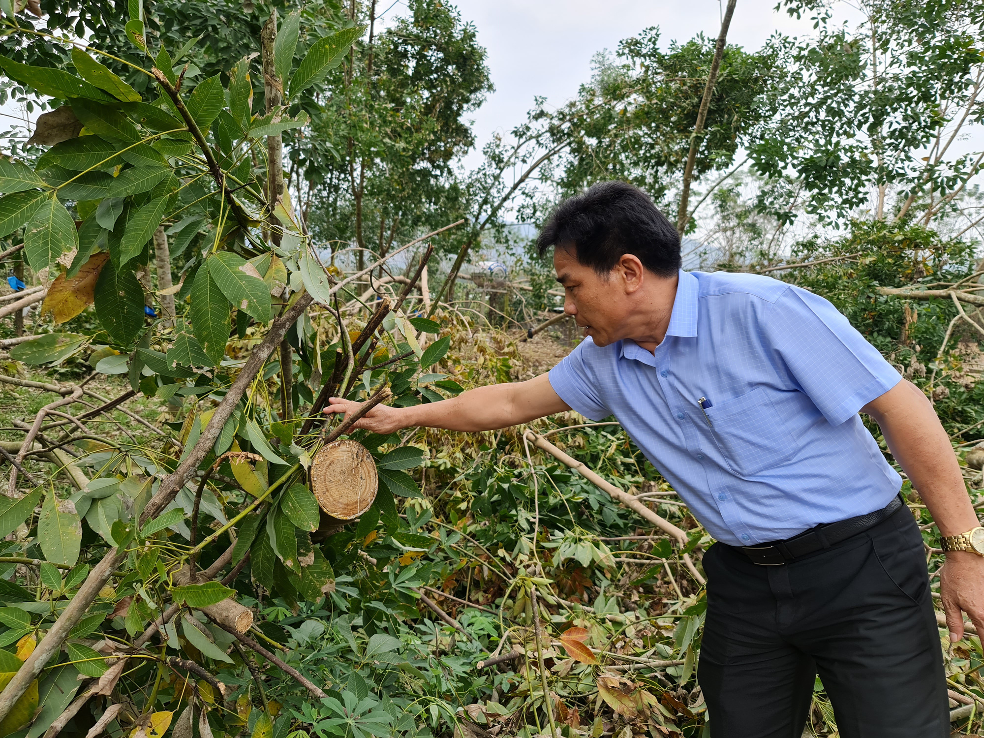 Phó Bí thư Quảng Nam: Đau xót khi nhìn nhà dân, cây ăn quả ngã đổ - Ảnh 5.