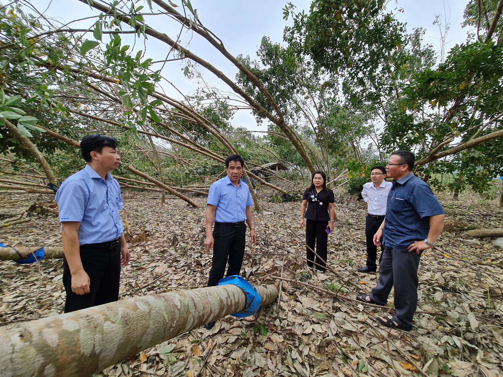 Phó Bí thư Quảng Nam: Đau xót khi nhìn nhà dân, cây ăn quả ngã đổ - Ảnh 6.