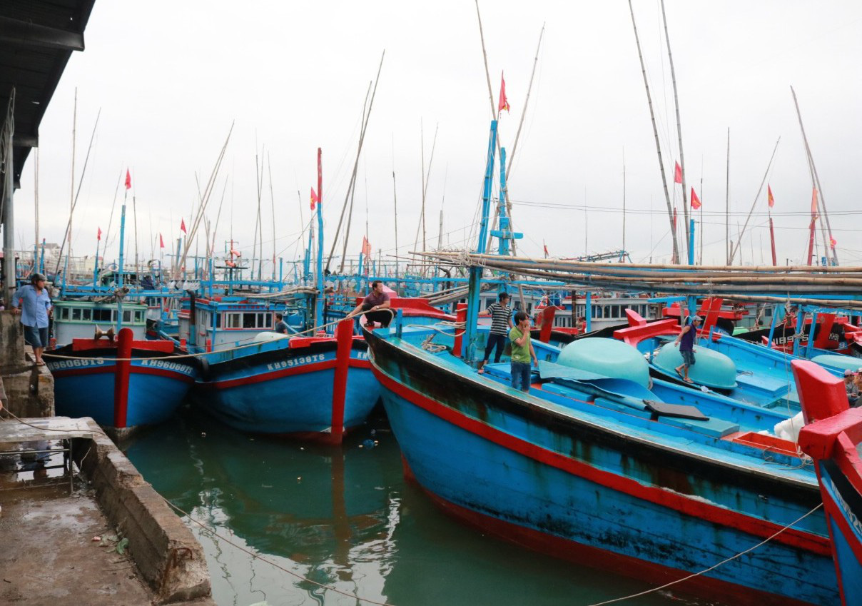 Khánh Hòa: Người nuôi trồng thủy sản rời khỏi tàu thuyền, lồng bè kể từ 18h ngày 9/11 - Ảnh 1.