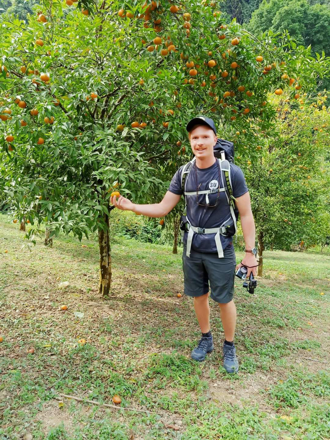 Lão nông trồng thứ quả sai trĩu cành, khi chín vàng rực, khách Tây kéo đến xem  - Ảnh 4.