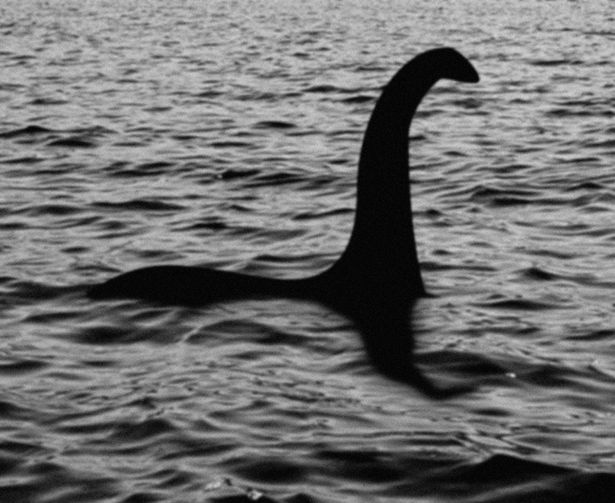 Bí mật về quái vật giống quái vật hồ Loch Ness - Ảnh 2.