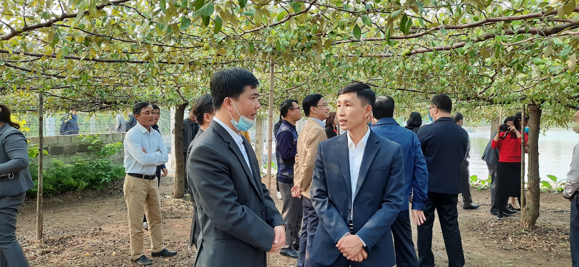 Hải Phòng: Trao tặng kinh phí hỗ trợ xây nhà cho hộ nghèo, thăm vườn trồng táo giàn ở quận Đồ Sơn - Ảnh 4.