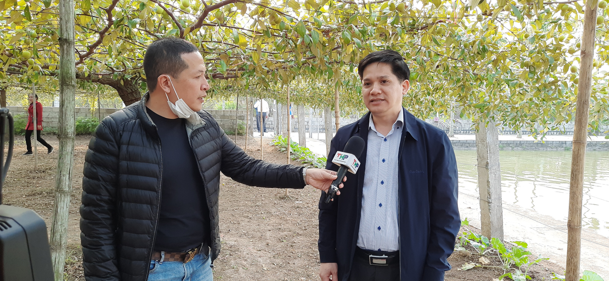 Hải Phòng: Trao tặng kinh phí hỗ trợ xây nhà cho hộ nghèo, thăm vườn trồng táo giàn ở quận Đồ Sơn - Ảnh 5.