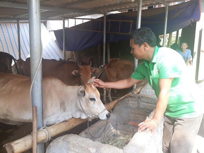 Chuyện giảm nghèo ở “lõi nghèo” Tây Bắc (bài 2): Những triệu phú ở vùng nghèo - Ảnh 1.