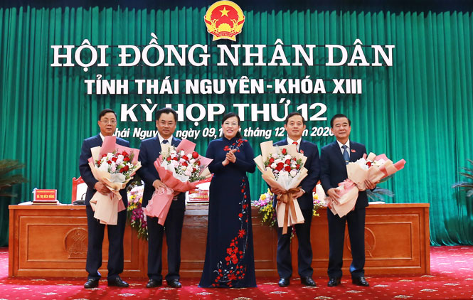 Ông Trịnh Việt Hùng được bầu giữ chức danh Chủ tịch UBND tỉnh Thái Nguyên  - Ảnh 2.