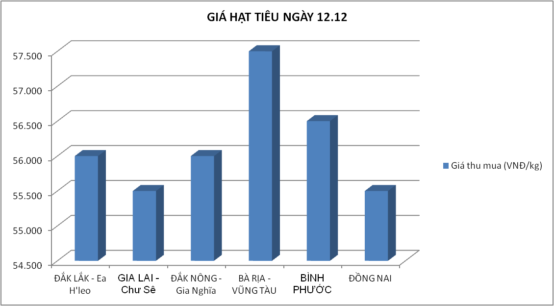 Giá nông sản hôm nay (12/12): Giá lợn hơi Vĩnh Phúc tăng vọt, cà phê điều chỉnh đồng loạt - Ảnh 4.