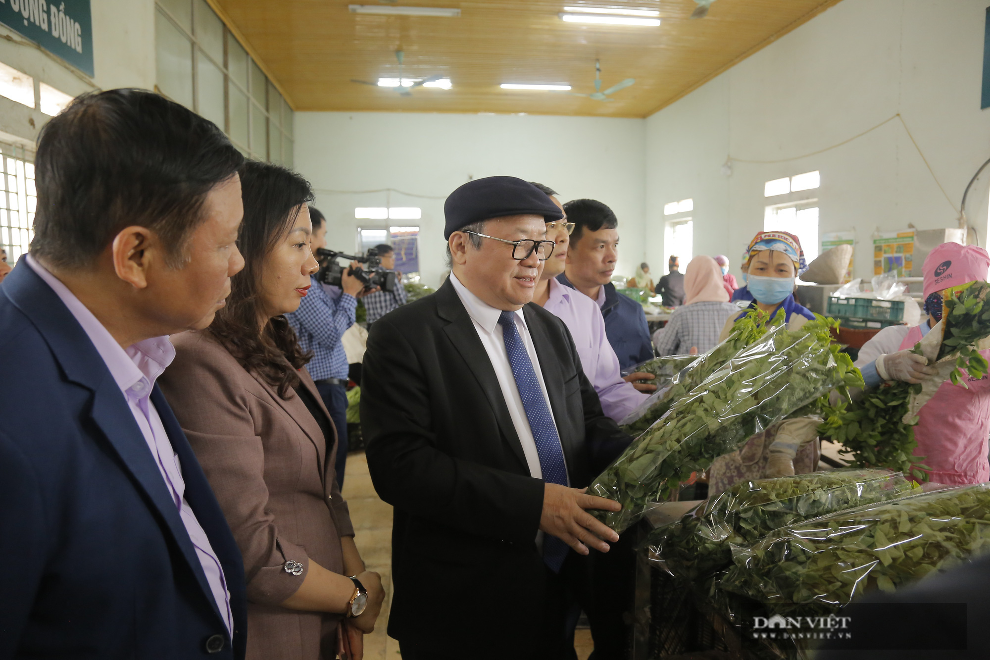 Phú Thọ: Chủ tịch Hội NDVN Thào Xuân Sùng xuống đồng, trò chuyện cùng nông dân về cách trồng rau an toàn - Ảnh 10.