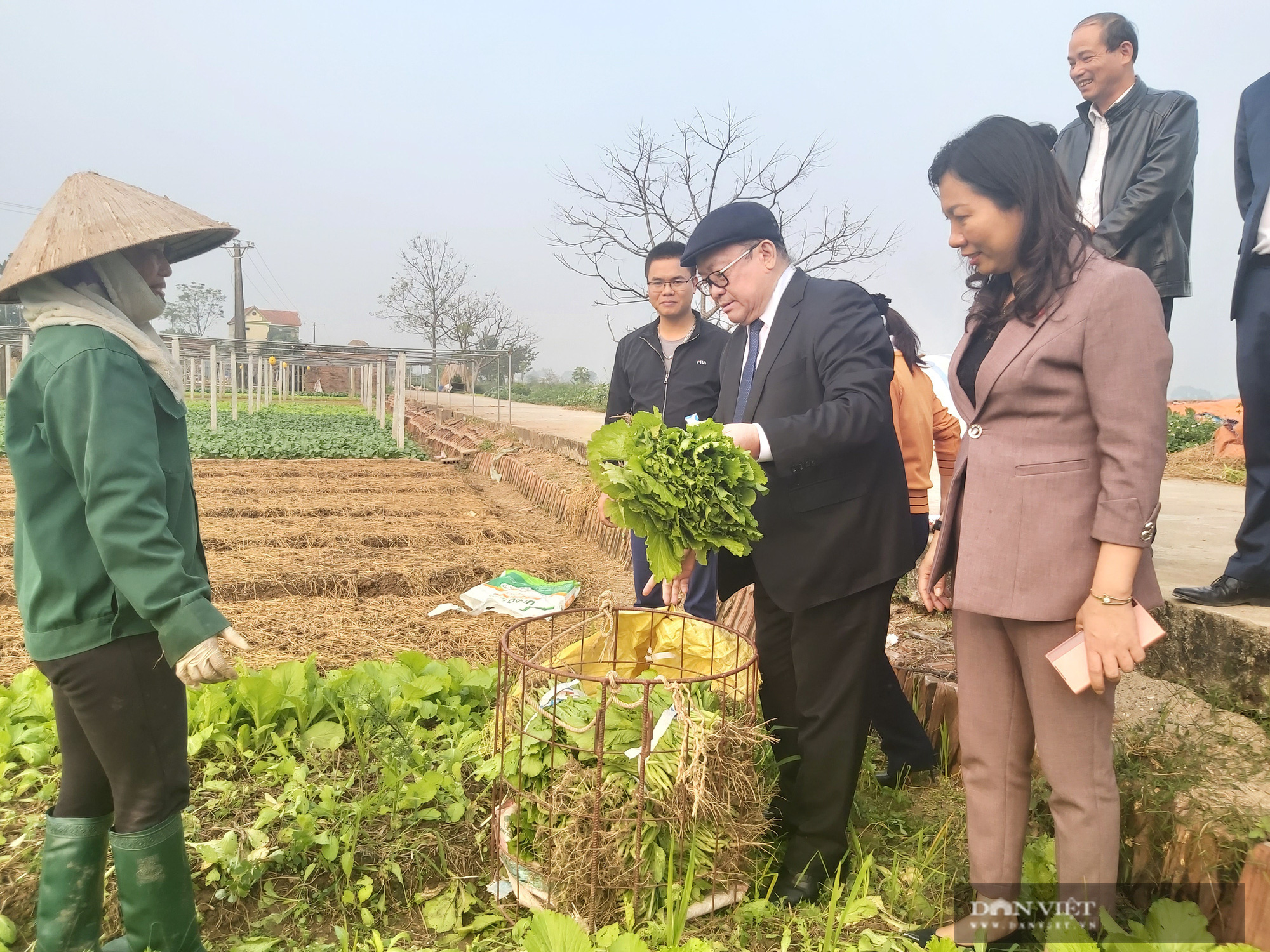 Phú Thọ: Chủ tịch Hội NDVN Thào Xuân Sùng xuống đồng, trò chuyện cùng nông dân về cách trồng rau an toàn - Ảnh 7.
