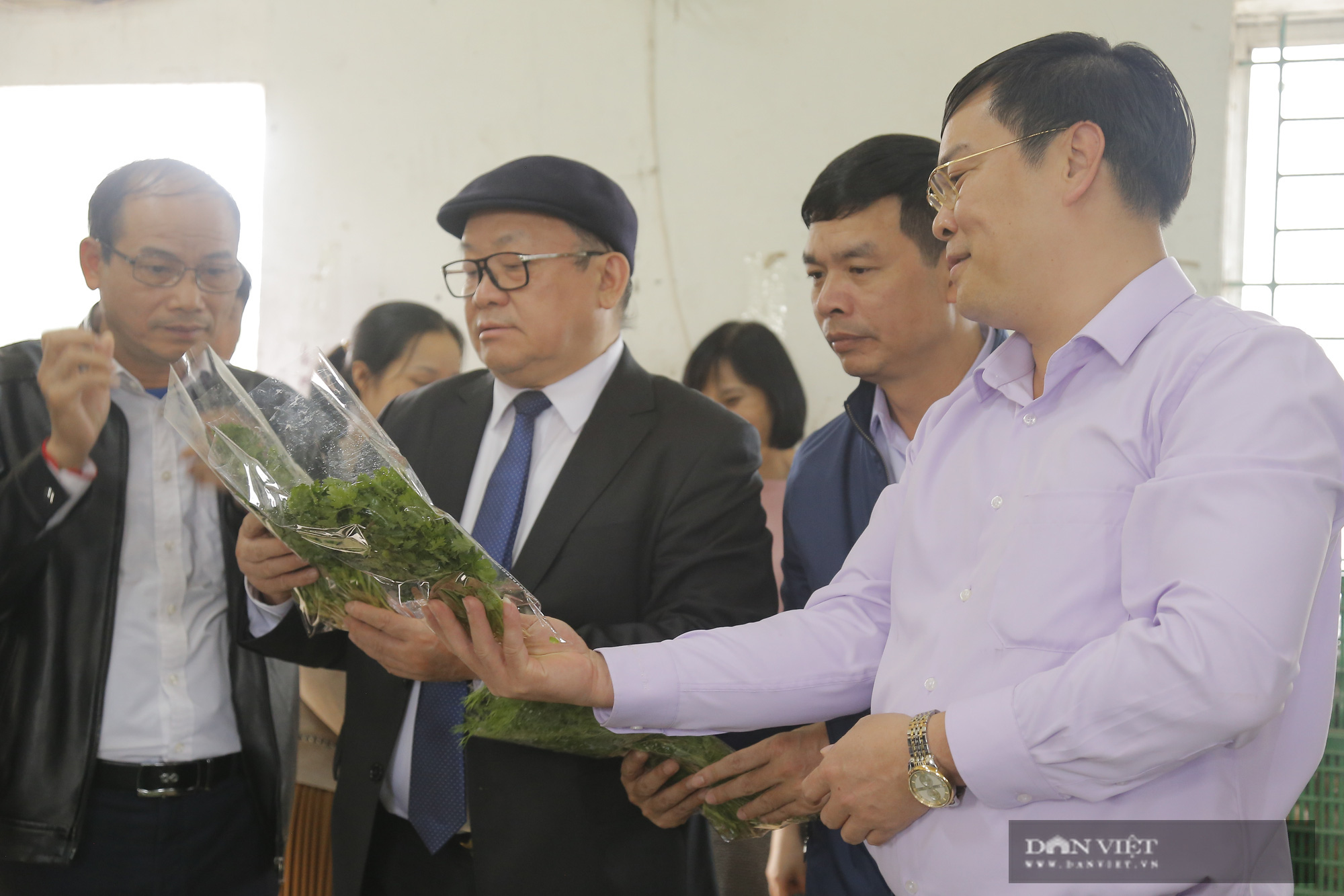 Phú Thọ: Chủ tịch Hội NDVN Thào Xuân Sùng xuống đồng, trò chuyện cùng nông dân về cách trồng rau an toàn - Ảnh 4.