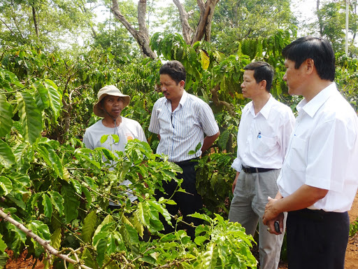 Bí quyết gì giúp doanh nghiệp này xuất khẩu cà phê sang Nhật Bản đều đều, giá tới 200.000 đồng/kg? - Ảnh 2.