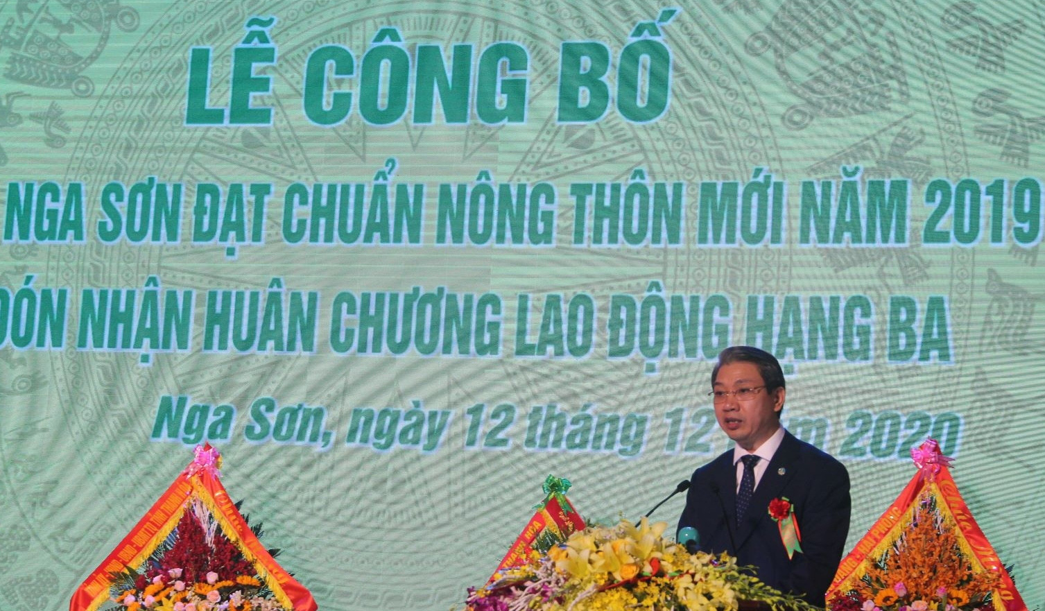 Thanh Hóa: Nga Sơn công bố huyện đạt chuẩn NTM và đón nhận Huân chương Lao động hạng ba - Ảnh 3.