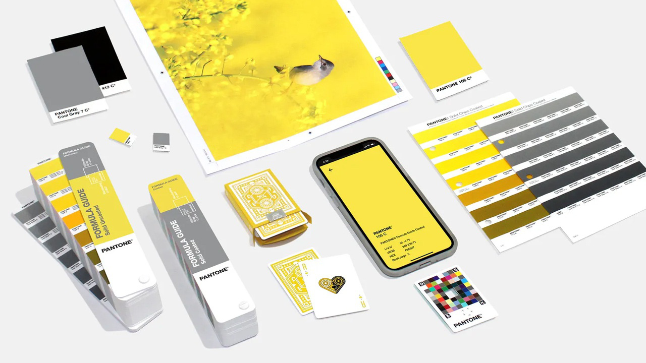 iPhone 11 và loạt sản phẩm công nghệ mang 'màu sắc của năm 2021' - Ảnh 1.