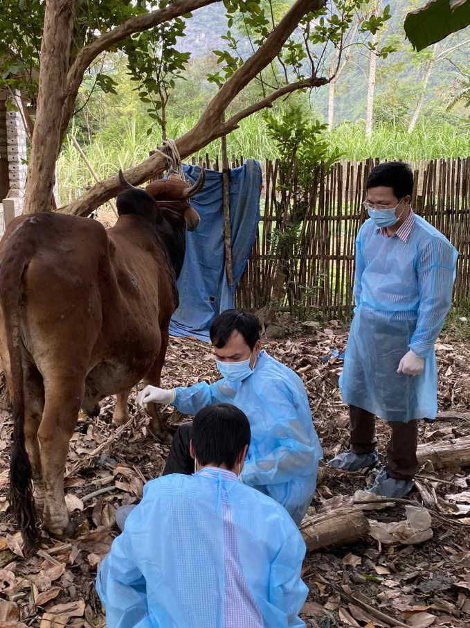 Dịch bệnh gia súc, gia cầm có nguy cơ cao bùng phát - Ảnh 1.