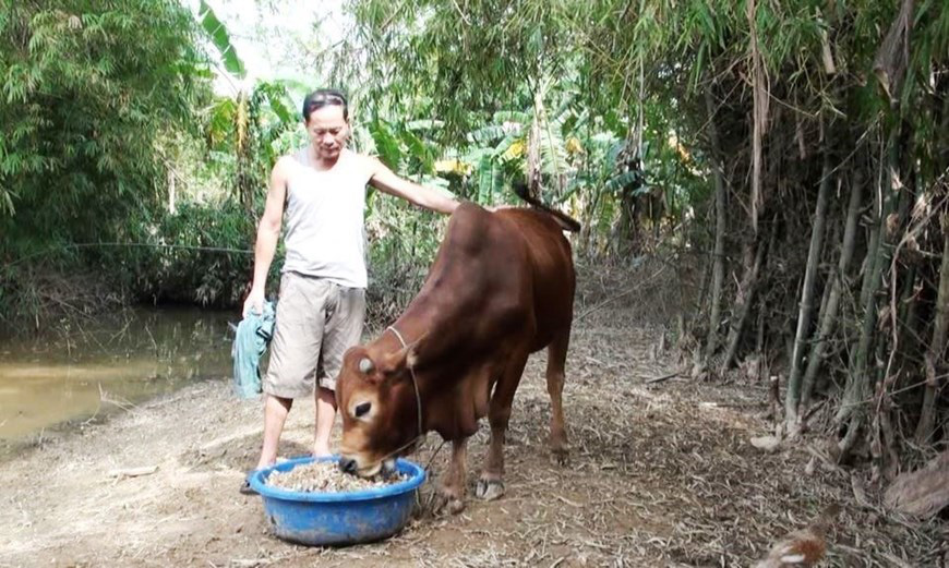 Nông dân Quảng Bình tích cực sản xuất nông nghiệp sau bão lũ - Ảnh 6.