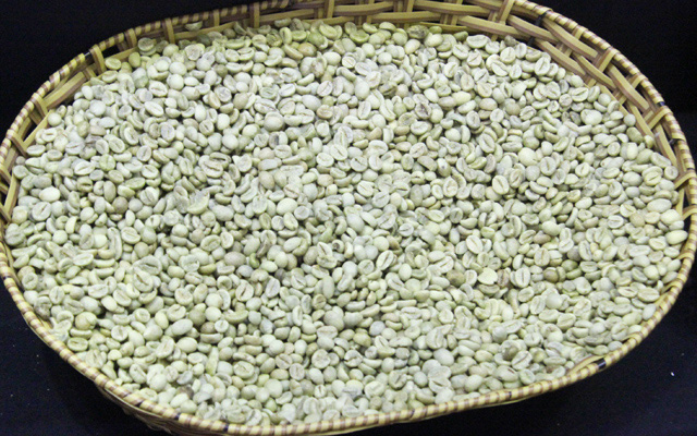 Giá cà phê hiện chỉ 31.000-32.000 đồng/kg