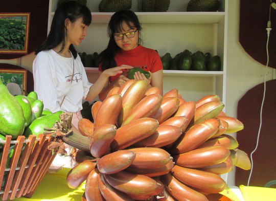 5 giống chuối nổi tiếng Việt Nam: Có loại xấu chưa từng có nhưng ăn lại cực ngon - Ảnh 1.