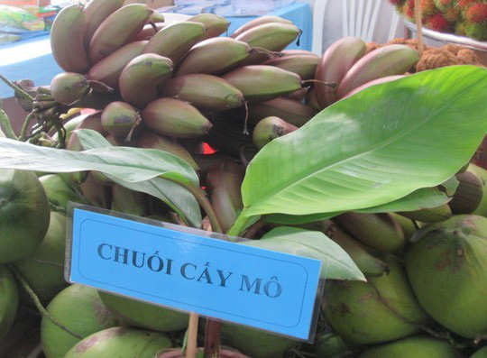 5 giống chuối nổi tiếng Việt Nam: Có loại xấu chưa từng có nhưng ăn lại cực ngon - Ảnh 3.