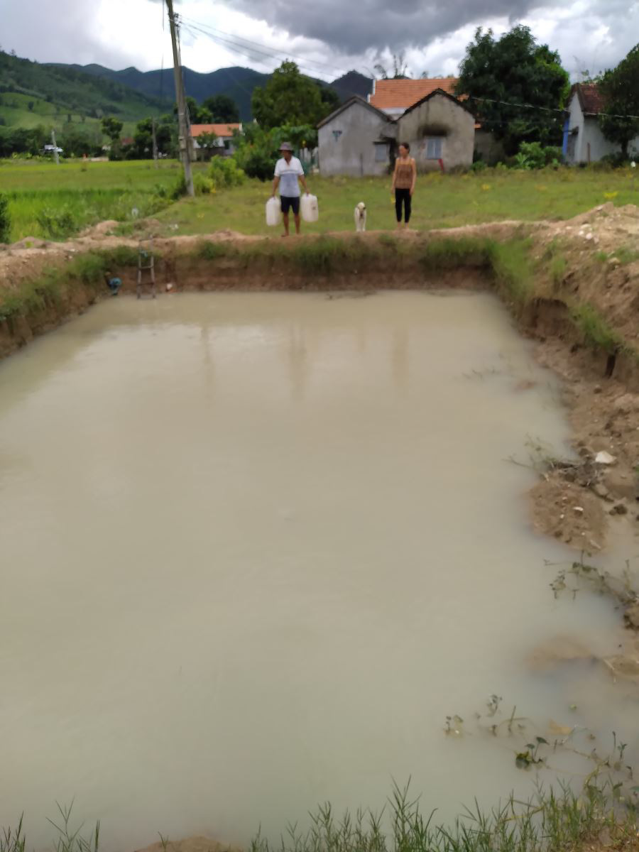 Phú Yên: Nuôi cá trê trong bể xi măng cho ăn con mối, hễ &quot;bí&quot; thức ăn bắt lên làm thịt lúc nào cũng được - Ảnh 3.