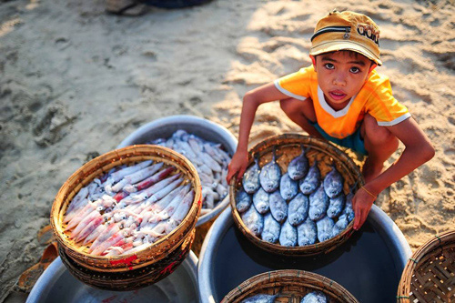 84% lao động trẻ em sống ở khu vực nông thôn - Ảnh 2.