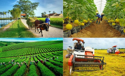 Phát triển nông nghiệp công nghệ cao: Hàng tỷ đồng một cái máy cày nhưng không thể thế chấp ngân hàng - Ảnh 1.