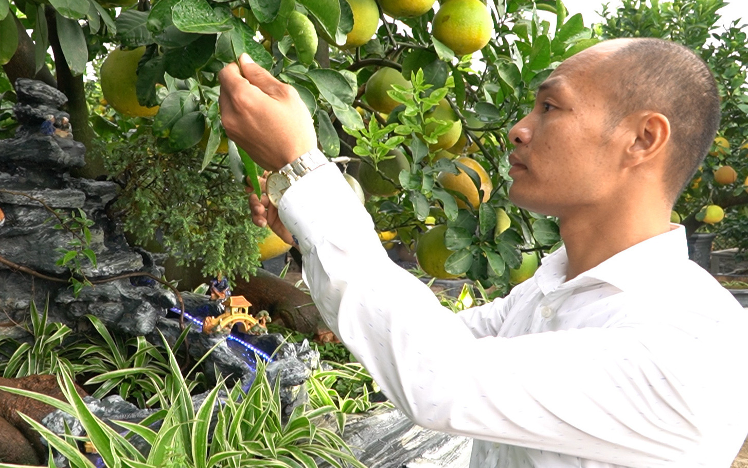 Siêu phẩm cây Tết nghệ thuật 'Long vân mừng vũ hội' giá trăm triệu vừa 'trình làng' Tết 2021 có gì đặc biệt?