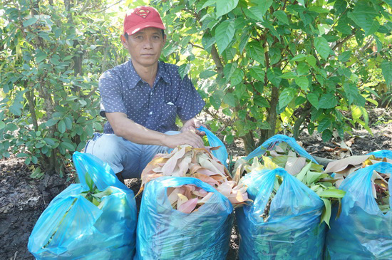 Tây Ninh: Lấy rau rừng, rau dại ven sông bờ suối về trồng lung tung trong vườn nhà, nông dân thu tiền đều tay - Ảnh 1.