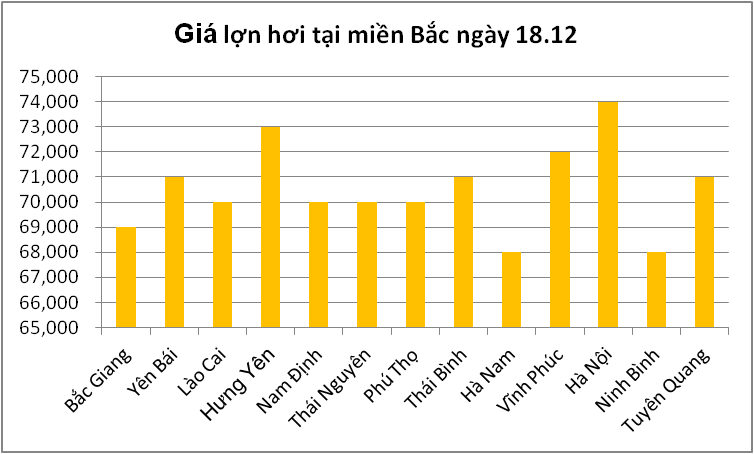 Giá nông sản hôm nay (18/12): Hà Nội đứng đầu về giá lợn hơi, cà phê tăng ở nhiều vùng trọng điểm - Ảnh 2.