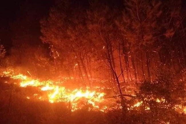Cháy rừng: Hãy chiêm ngưỡng hình ảnh kỳ diệu của những cơn lửa rực cháy giữa rừng xanh mơn mởn. Mặc dù tình huống là không may nhưng cũng không thể phủ nhận được sức mạnh đầy ma lực của hoàn cảnh này.
