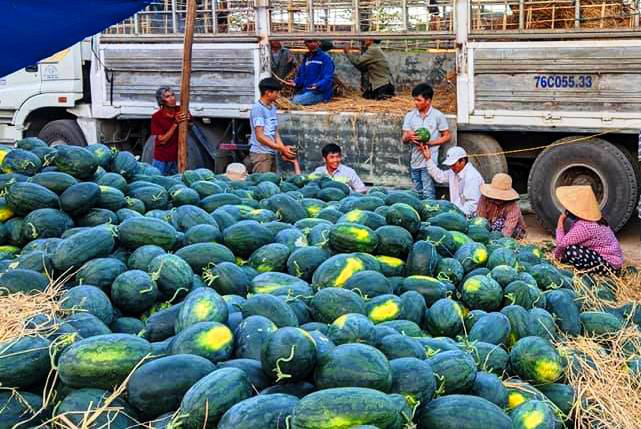 Đe dọa, ép đưa tiền bảo kê 4 triệu đồng mới cho chở dưa hấu đi “giải cứu” - Ảnh 1.