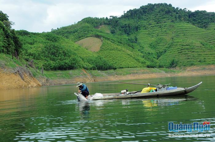 Tỉnh Quảng Ngãi có 1 &quot;ngư trường&quot; ở trên...núi, dân đánh bắt được vô số cá ngon, lên bờ là thương lái &quot;khuân&quot; sạch - Ảnh 1.