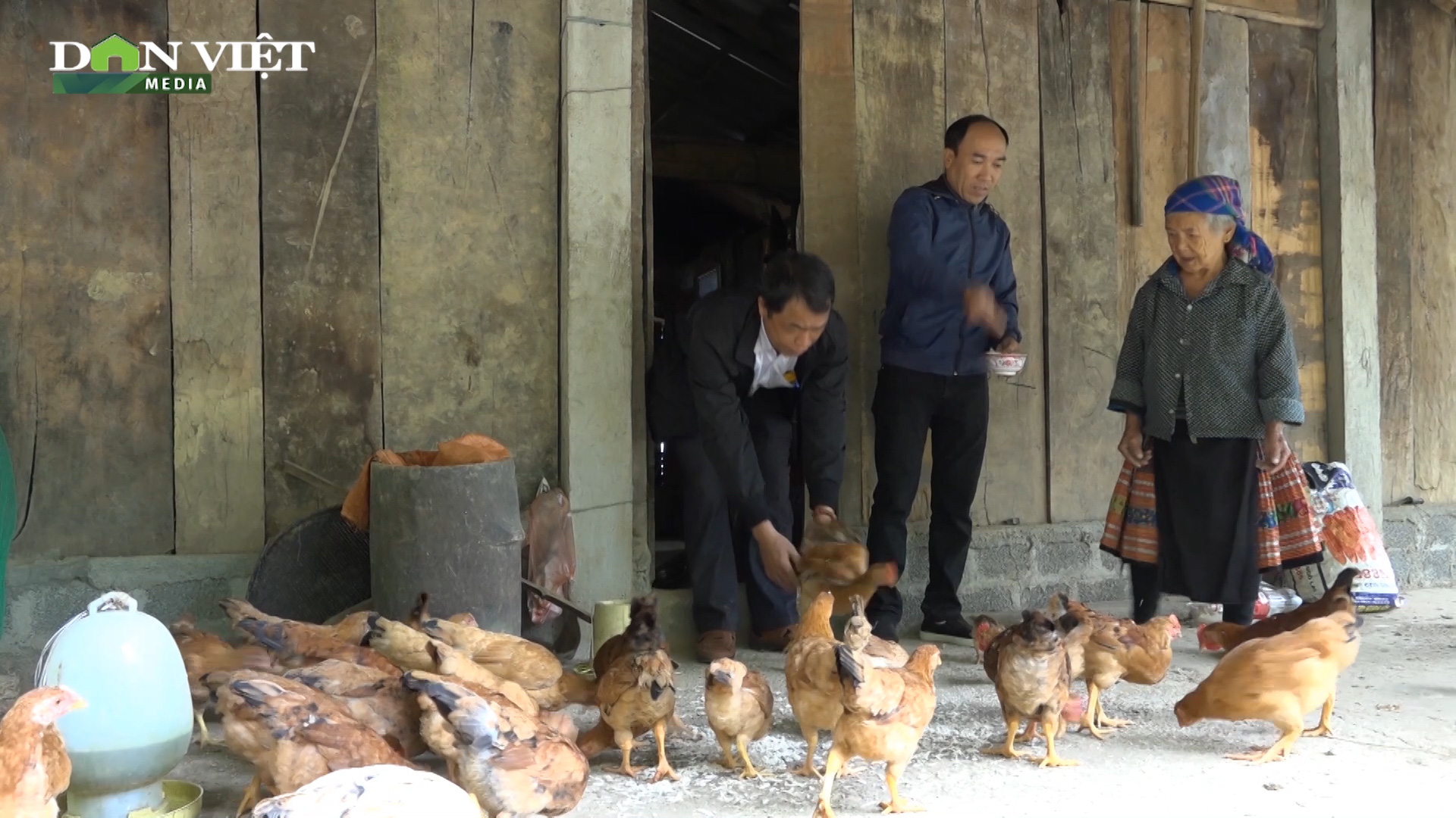 Mô hình nuôi gà đẻ cực hiệu quả, giúp bà con dân tộc ở Pá Lau thoát nghèo - Ảnh 3.