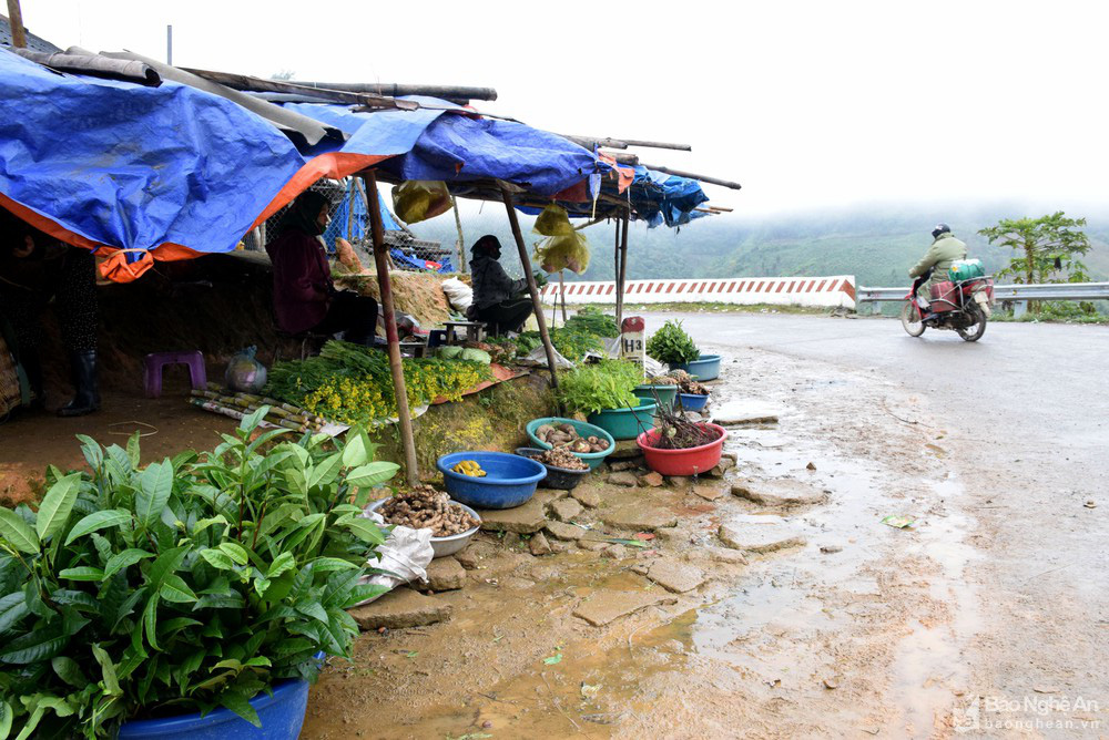 Rét căm căm, dân vẫn mang sâu măng, chuột rừng, mắc khén, rau dại &quot;bán lẻ&quot; ở vùng cao Nghệ An - Ảnh 1.