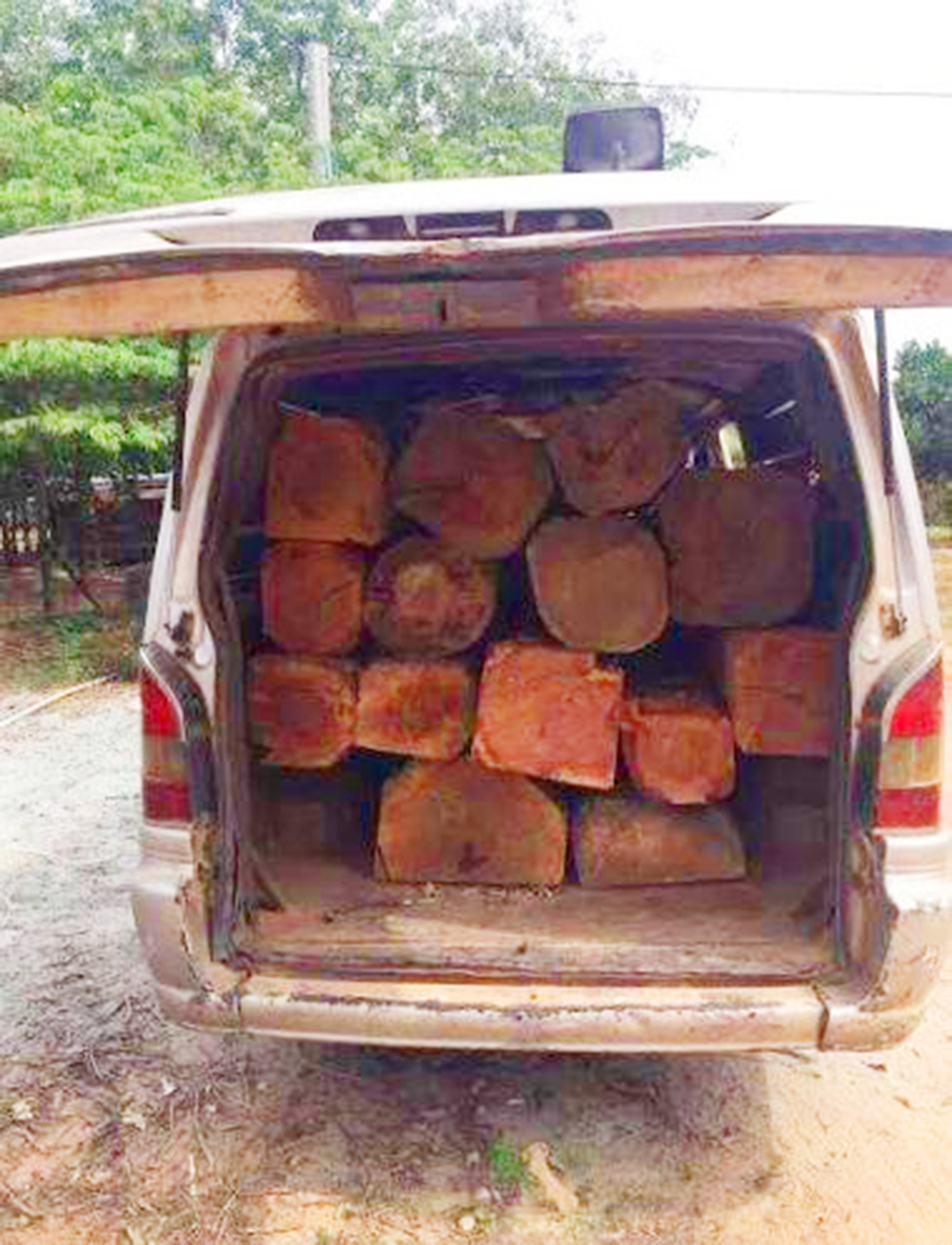 Gia Lai: Liên tiếp phát hiện, bắt giữ gỗ lậu ở vùng biên giới huyện Chư Prông - Ảnh 1.