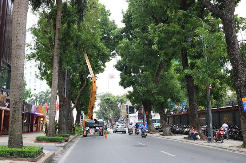 Công viên Cây xanh Hà Nội: Lợi nhuận giảm vì công tác liên doanh với đối tác tại Làng hoa Thụy Khuê gặp khó? - Ảnh 1.