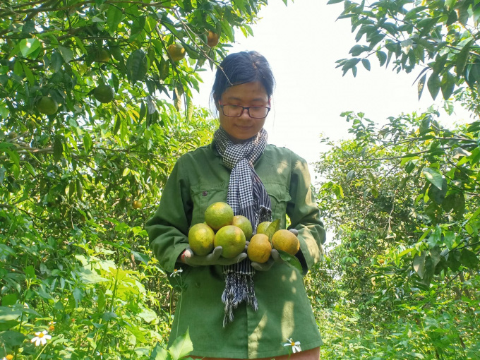 'Hai đứa ngây' làm nông nghiệp theo hướng hữu cơ - Ảnh 3.