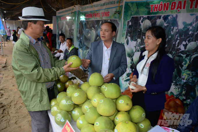 Bưởi tiến vua rớt giá thê thảm - Ảnh 3.