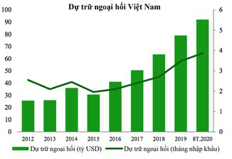 Mỹ đã có sai sót khi đưa ra các tiêu chí xác định Việt Nam thao túng tiền tệ? - Ảnh 3.