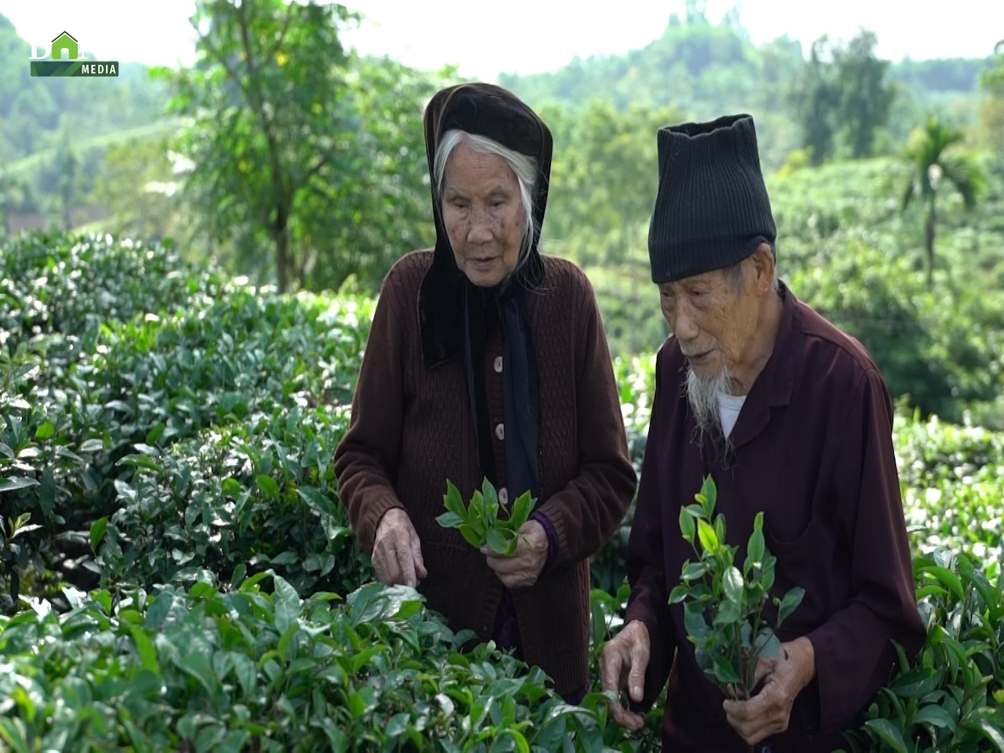 Chương trình mỗi xã, phường một sản phẩm OCOP: Điểm tựa cho nông sản Việt - Ảnh 5.