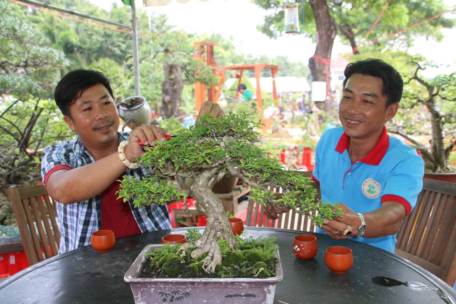 Long An: Nghề makeup cho cây kiểng bonsai, vừa làm vừa chơi cũng ra tiền, đến đàn bà con gái còn ham - Ảnh 2.